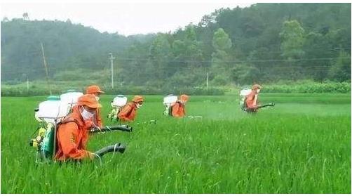 農(nóng)藥行業(yè)仍然具有較大的發(fā)展空間，高效、低毒、低殘留將是其發(fā)展方向