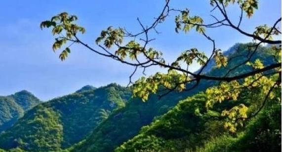 陜西省政府：印發(fā)《秦嶺生態(tài)環(huán)境保護行動方案》，持之以恒有效保護秦嶺這一國家重要生態(tài)安全屏障