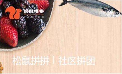社區(qū)團(tuán)購平臺“松鼠拼拼”完成3100萬美元B1輪融資，融資將用于供應(yīng)鏈完善等?