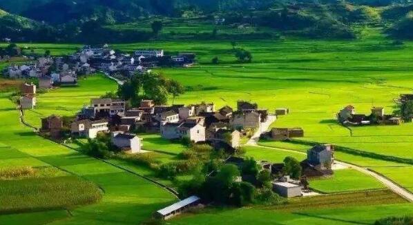去年全國鄉(xiāng)村旅游總?cè)舜螢?0.9億人次，同比增加9.7%