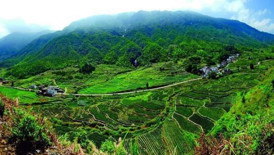咸寧重振雄風(fēng)推進(jìn)茶文旅融合，做深做優(yōu)做強(qiáng)茶產(chǎn)業(yè)