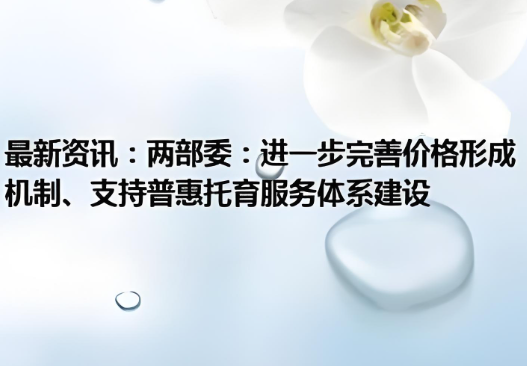 國(guó)發(fā)改委有關(guān)負(fù)責(zé)同志就《關(guān)于進(jìn)一步完善價(jià)格形成機(jī)制、支持普惠托育服務(wù)體系建設(shè)的通知》答記者問