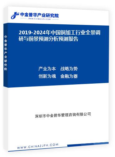 2019-2024年中國銅加工行業(yè)全景調(diào)研與前景預測分析預測報告