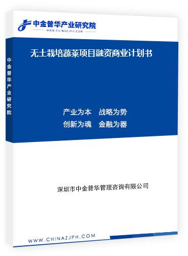 無土栽培蔬萊項(xiàng)目融資商業(yè)計劃書