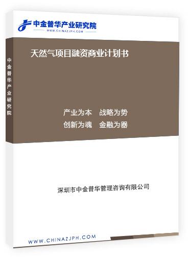 天然氣項(xiàng)目融資商業(yè)計劃書